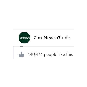 Zwnews.com